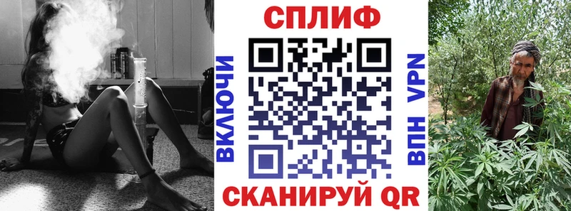 где можно купить наркотик  Рошаль  Шишки марихуана SATIVA & INDICA 